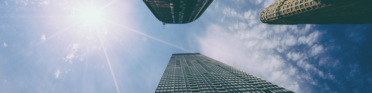 探究香港公司SCR的核心目的